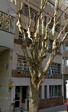 Milenio III College_en belgrano