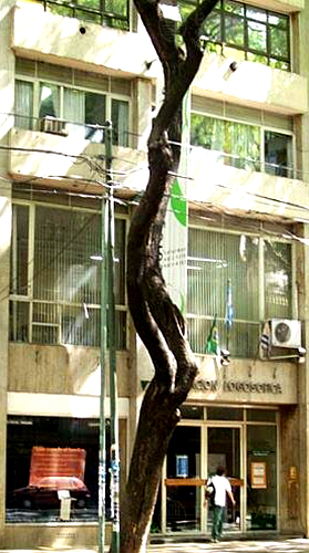 colegio Gonzalez pecotche_secundaria