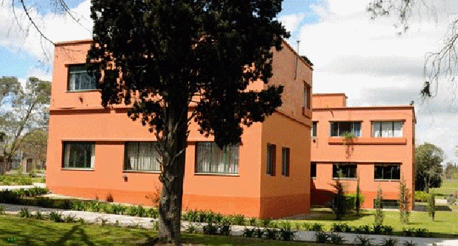 Colegio Bosque del Plata 8