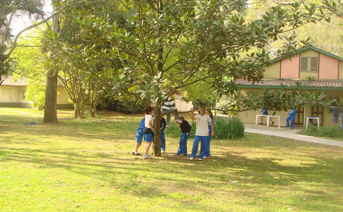 Colegio Hölters Natur - Los Cardales_65