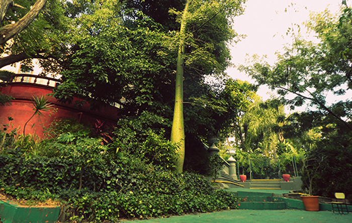 colegio Highlands_en Vicente López