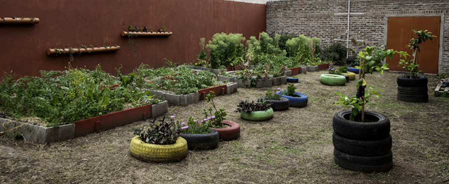 escuelas que promueven cuidado ambiental