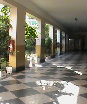 Instituto Maria Ana Mogas_en barrio de Mataderos_2