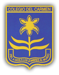 Colegio del Carmen 4