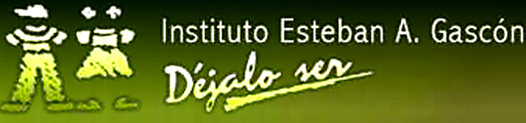 Instituto Esteban A. Gascón 3
