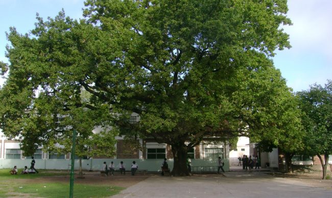 Colegio Nuestra Señora de Ranelagh 41