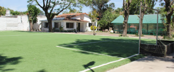 Colegio Vicente Francisco Saperi