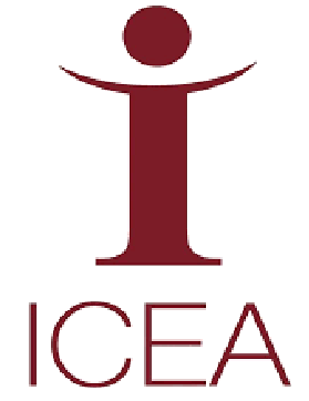 Centro ICEA 14