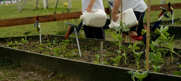 Austin Eco Bilingual School 2