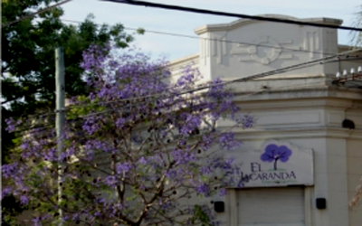 Institución educativa El Jacarandá 2