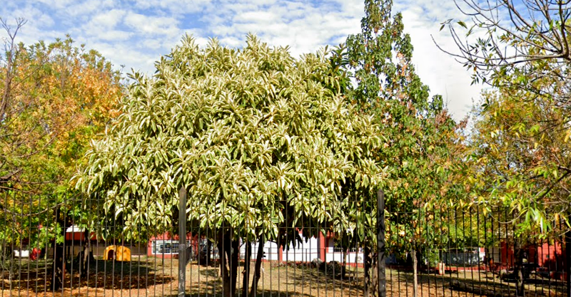 Instituto Sagrado Corazón 2