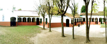 Colegio Vicente Chas
