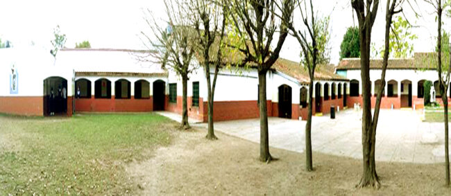 Colegio Vicente Chas 12