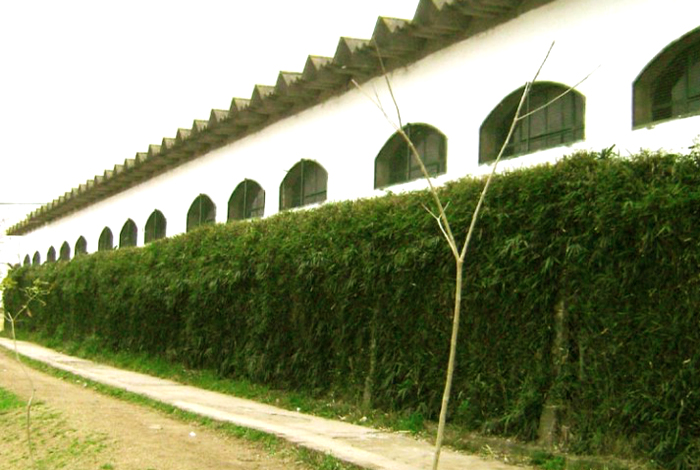 Colegio Parroquial Nuestra Señora de Luján 2