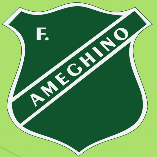 Colegio Florentino Ameghino 22