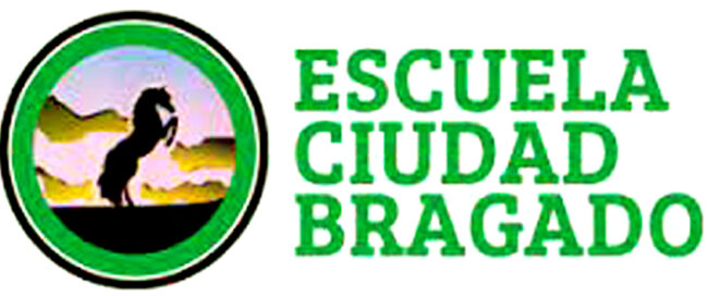 Escuela Ciudad de Bragado 2