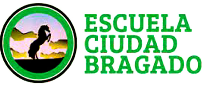 Escuela Ciudad de Bragado 15