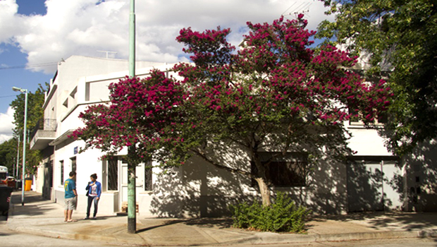 Información del barrio de Parque Chas de Buenos Aires 3